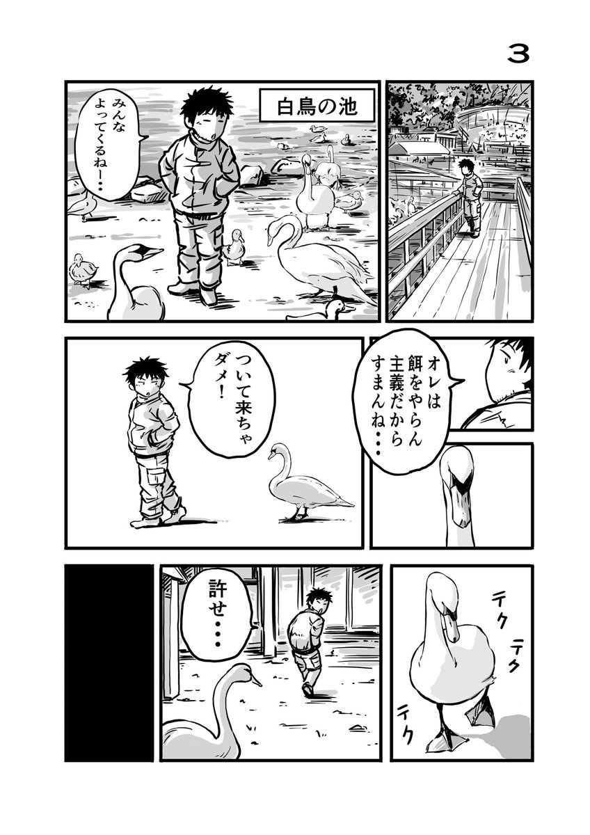 離婚して車中泊になりました13
花鳥園の続きです。
#車中泊 #エッセイ漫画 #掛川花鳥園 #旅漫画 #ハシビロコウ 