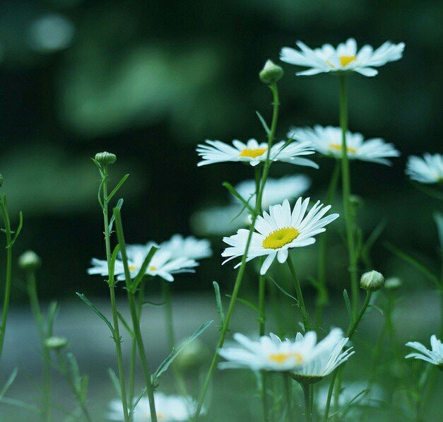 버릴건
빨리 버려

그래야
깔끔해지지...

틀린건
빨리 고쳐

그래야
발전하지

아닌것
빨리 정리해

그래야
편안해지지

힘든건
빨리 잊어

그래야
가버워지지..