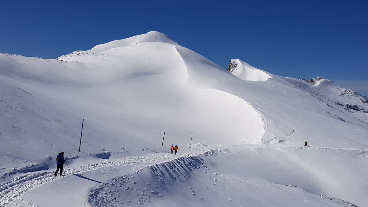 hansterbraak's tweet photo. Wandelen in de (sneeuw)duinen op 2000m.
#Mittelberg https://t.co/zeeU8umXpq
