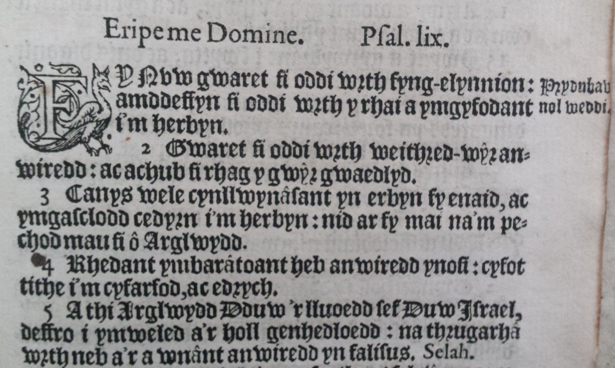 TrinCollLibCam's tweet photo. The first full translation of the Bible into Welsh from Greek and Hebrew was made by William Morgan in 1588. The Psalms were published separately (pictured, from the #WrenLibrary's collection. Catalogue record at https://t.co/U7S9movsGu). #StDavidsDay #GryllsCollection https://t.co/Cl1B37kwJU