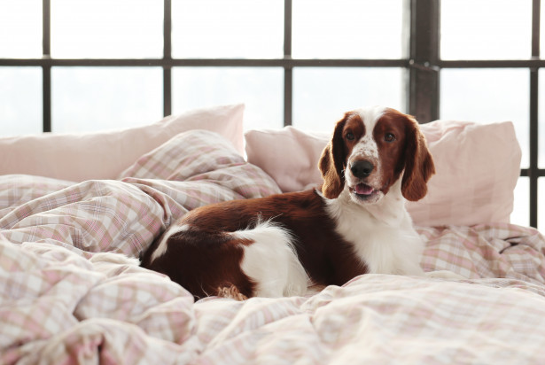 Nothing better than having a good Sunday work out then having a good deep sleep, ready to enter one of our awards category on Monday morning! #NationalBedDay #EnterNow