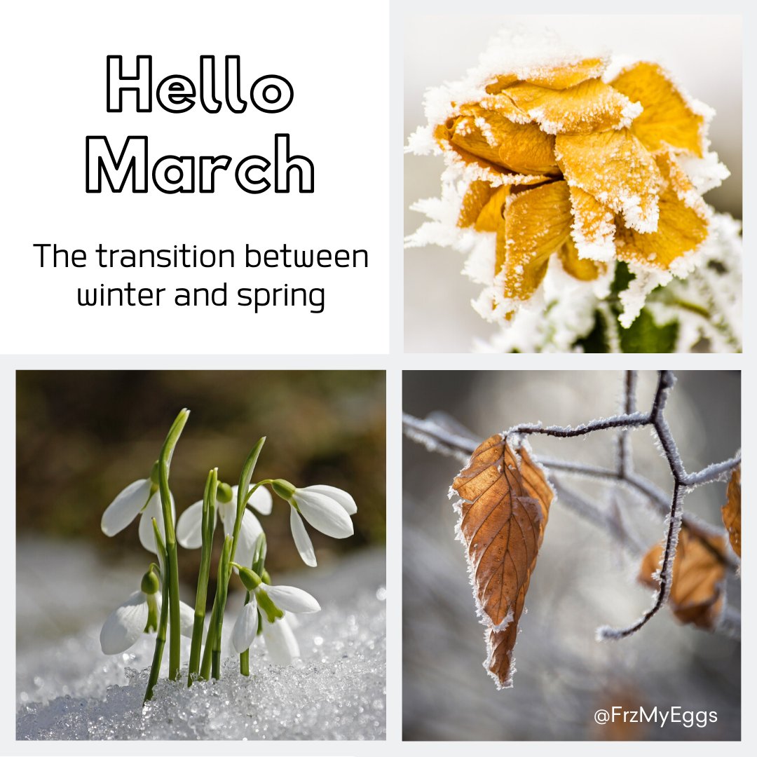 February is now behind us and today is March 1st.⁠ Spring is on the way.⁠ Ready to say goodbye to winter?
⁠

#march #eggfreezing #fertility #winter #spring #flowers
