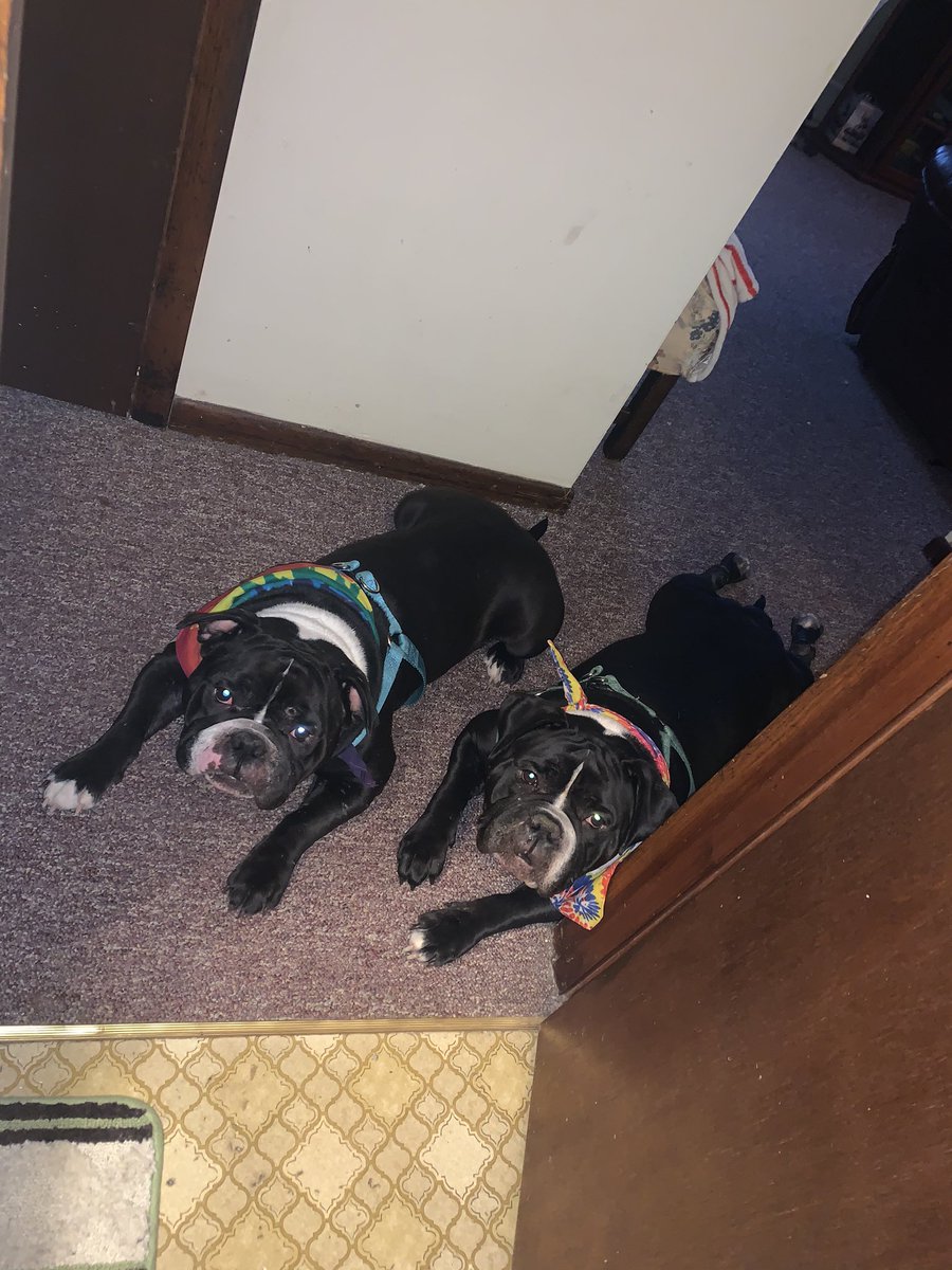 OberVictoria's tweet image. The boys 💖