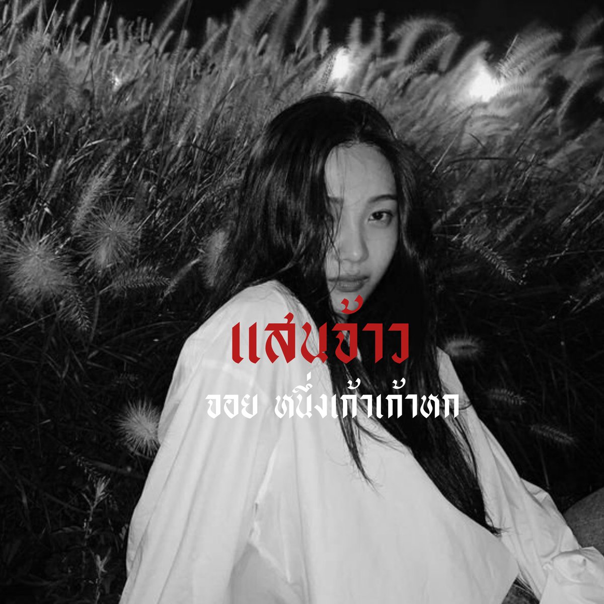 แสนจ้าว tweet media