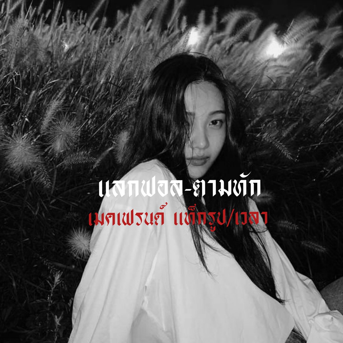 แสนจ้าว tweet media