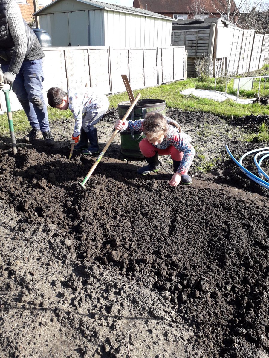 BDBFood's tweet photo. Quality family time at the allotment. Onions, garlic, carrots, parsnips and radishes are in. Potatoes next. @BDBFood #Sustainableliving #WellbeingMyTopPriority #ReducingFoodMiles https://t.co/KLZ95ALVQt