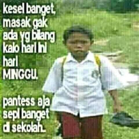 budiono_48's tweet photo. #FotoProfilBaru https://t.co/IjtSiy3BTm