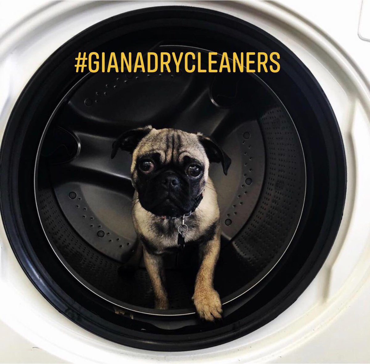 GDC_za's tweet photo. Need Laundry? #laundry #gianadrycleaners #thebest https://t.co/pGM5EFCAHM