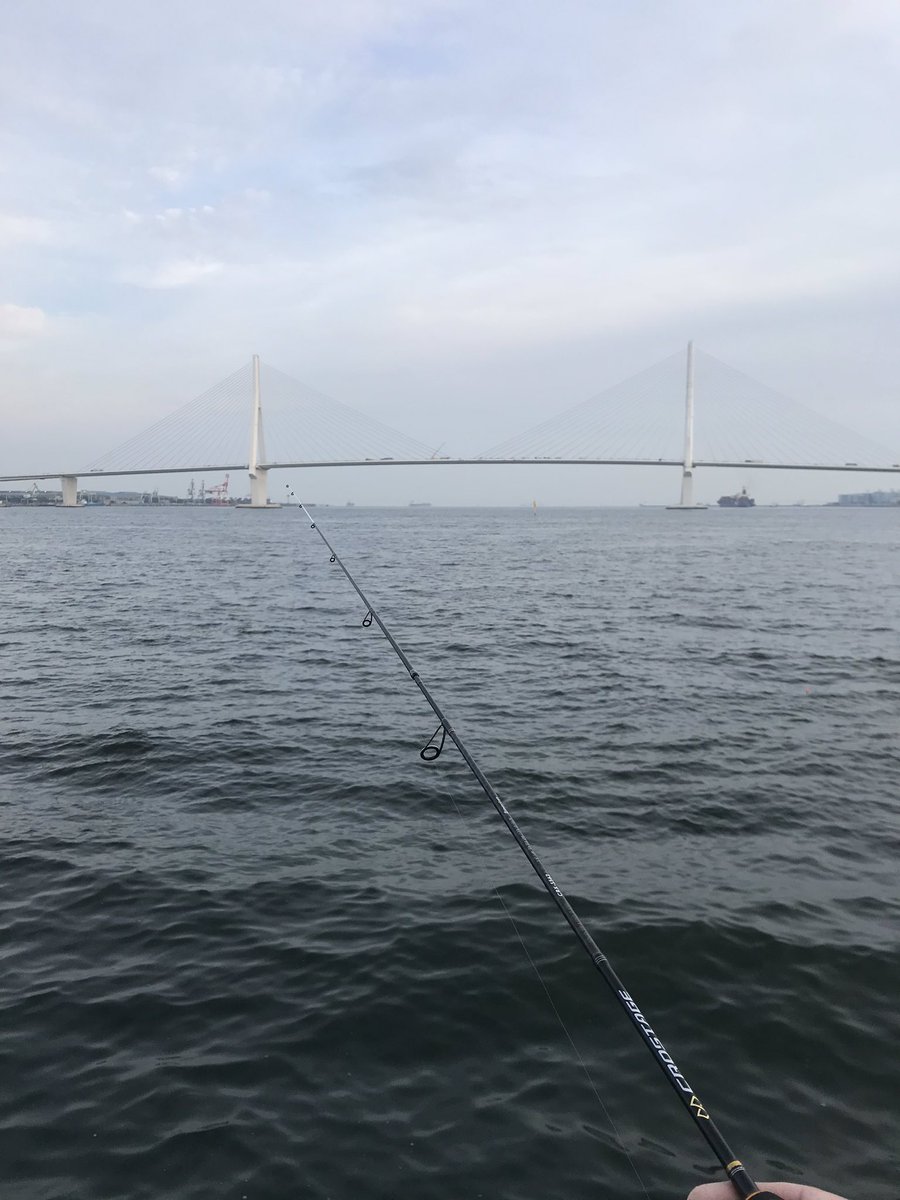 Tn 久しぶりのオカッパリでふれーゆアジング なのにカサゴ このアジング ロッドでアジ釣ったことないんですけど