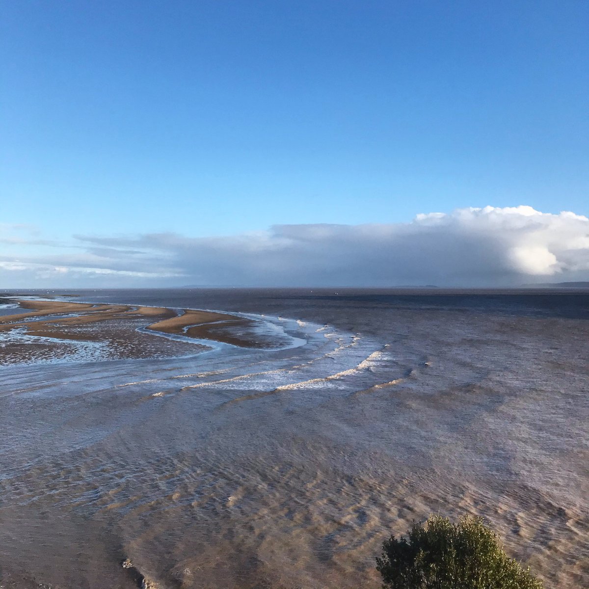 CU_Marine's tweet photo. Dydd Gŵyl Dewi Hapus! Happy #StDavidsDay! 🏴󠁧󠁢󠁷󠁬󠁳󠁿We're very lucky in Wales to have some beautiful marine and coastal spaces- thanks to @AMinnigin for sending us these photos of Sully Island, Penarth and Lavernock Point! #DiscoverTheSevern https://t.co/S9jmhdI83Y