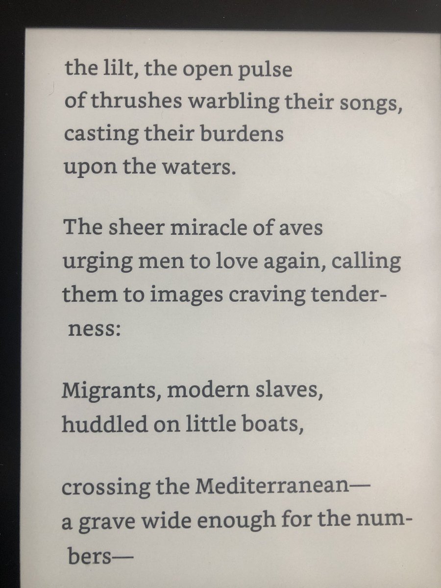 Rebecca Fasselt tweet media