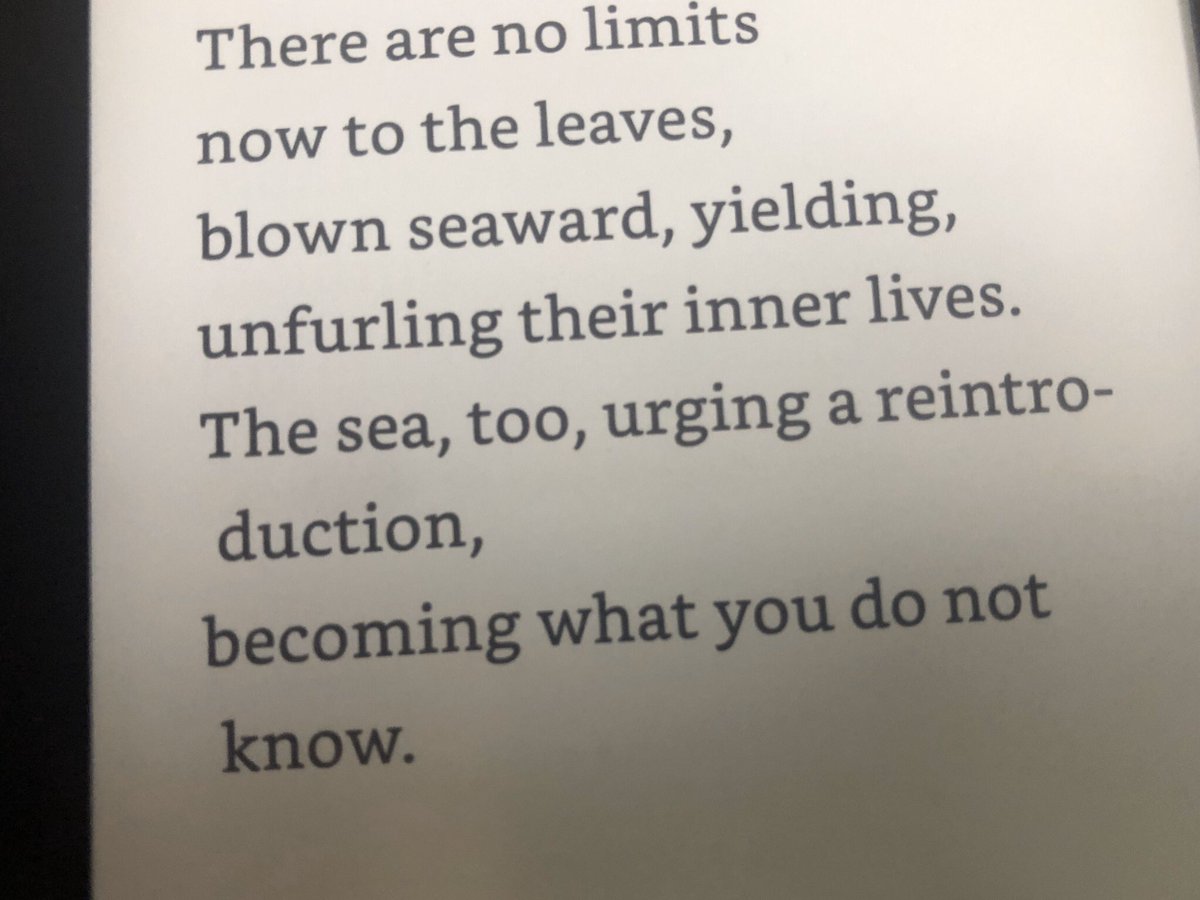 Rebecca Fasselt tweet media