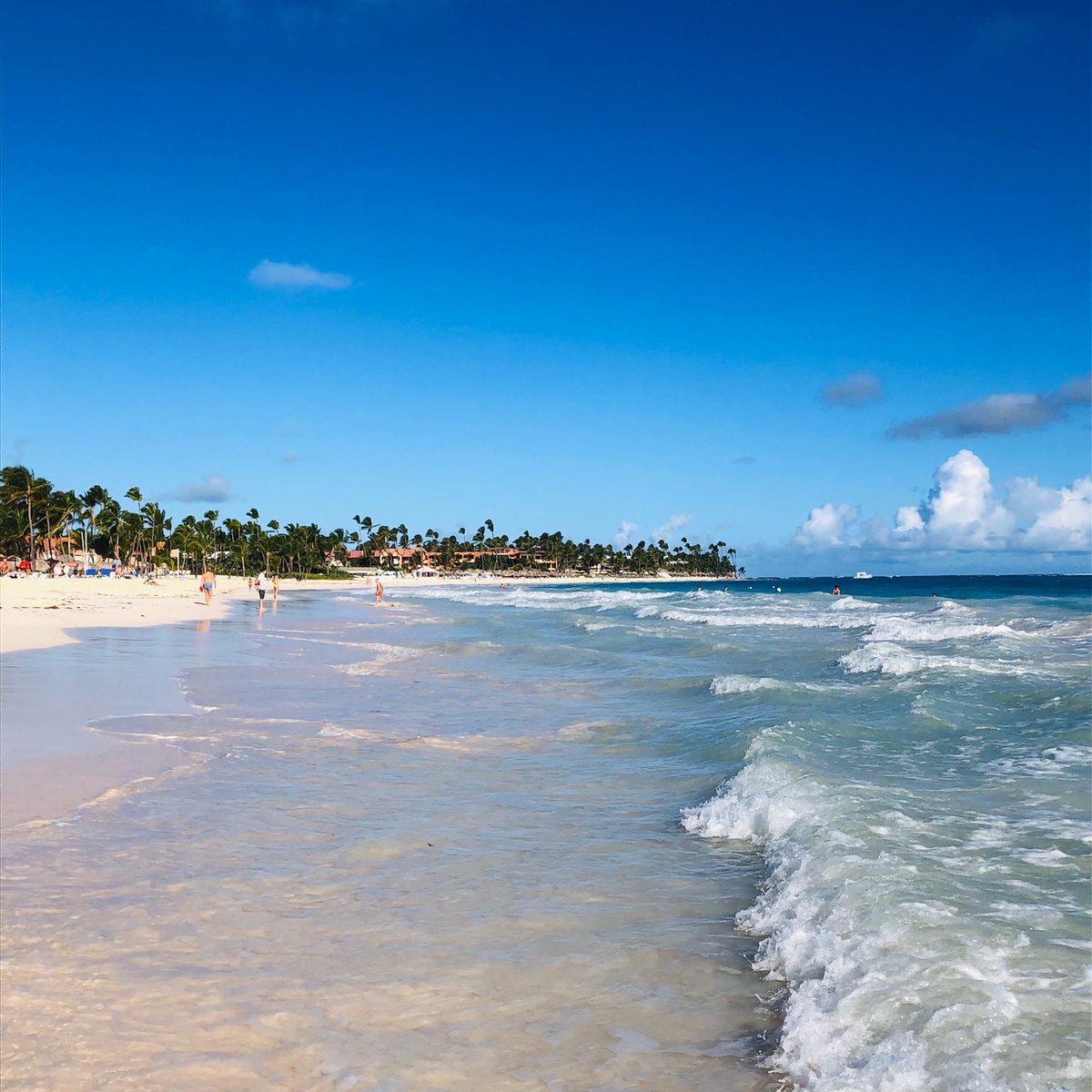 ParadisusPCana's tweet photo. Hello March 🌴🌺Who is visiting Paradisus soon? 📷Geri Portman https://t.co/B5ARy99N5W