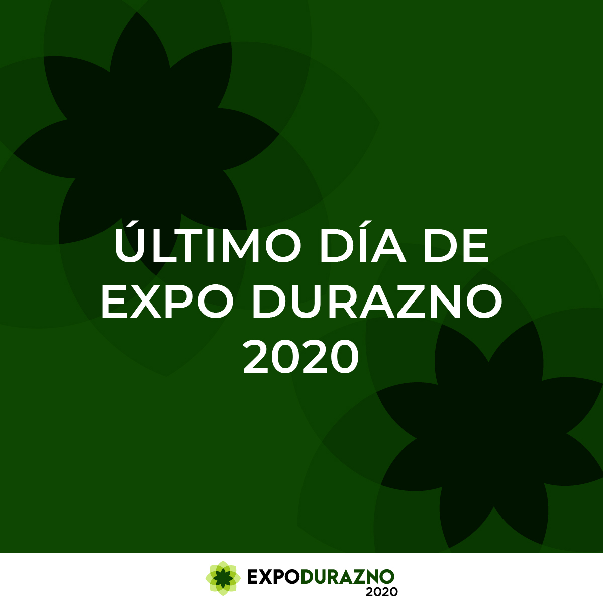 Los recibimos hoy en la última jornada de Expo Durazno 2020, ¡no te lo pierdas!#expodurazno2020