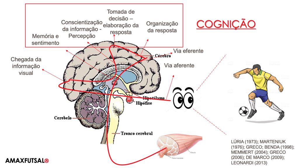 Jogo de Perguntas – Luria