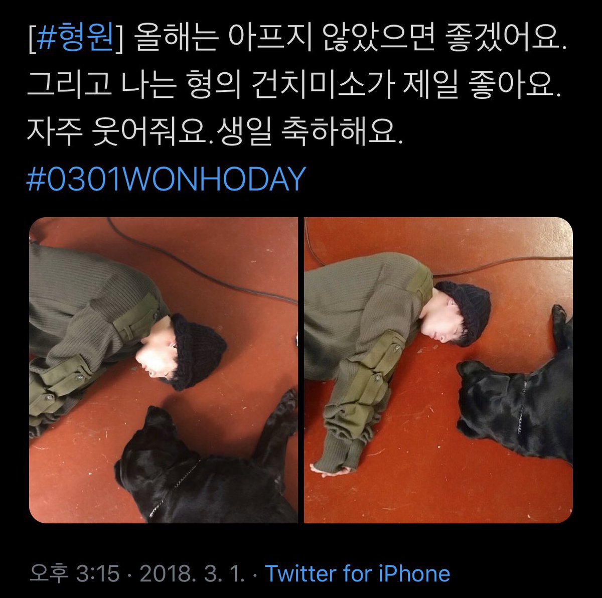 taste_hw's tweet photo. 🐢🎉🎂🐰
#WONHODAY
#WONRABBITDAY
#0301WONHODAY
#HBDtoWONHO
#봄에_찾아온_원호라는_기적
#내게_사랑을_알려준_원호야_생일축하해 https://t.co/9UTUYZr7FM