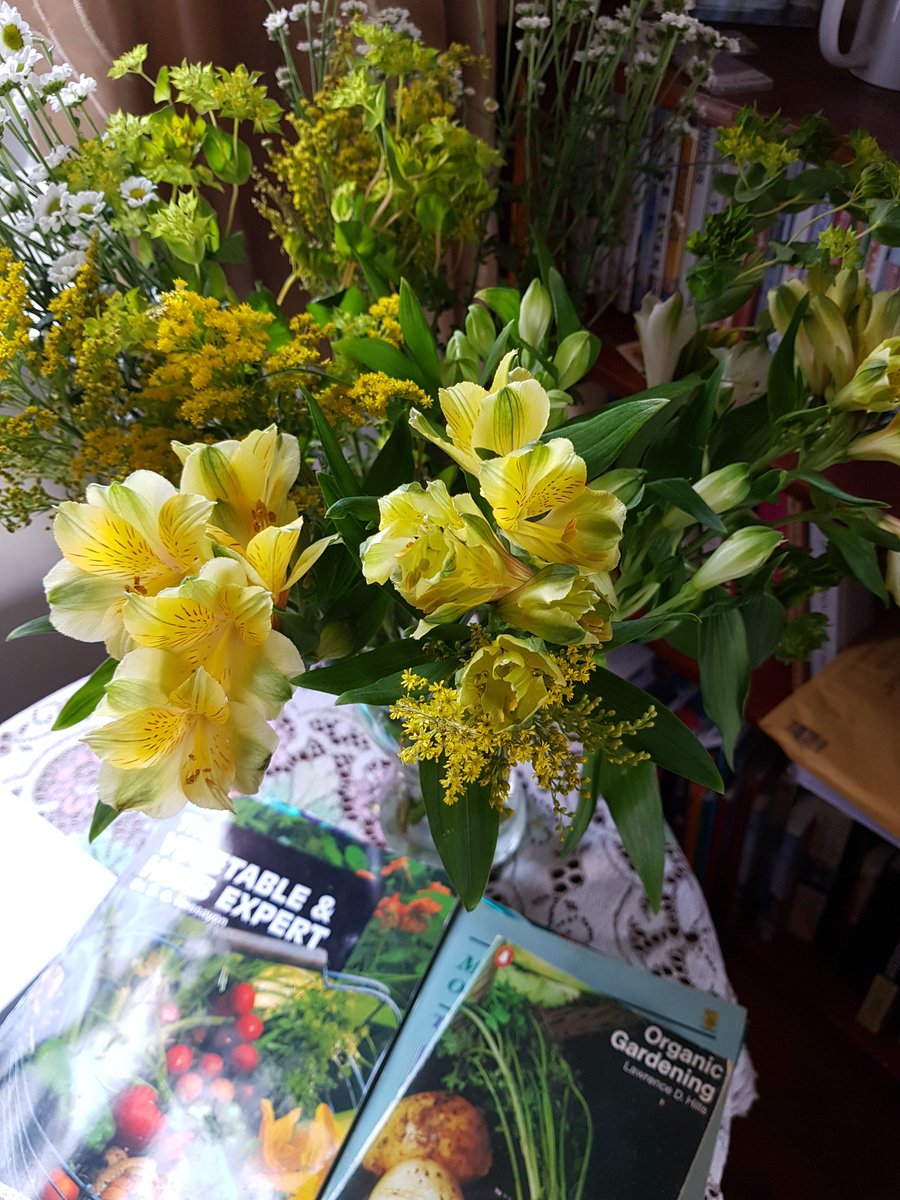 LisaJCollins's tweet photo. Aside from the floods another good week in the clinic and another pregnancy. Must tot up my acu babies! Plus a client sent me these lovely flowers! #pregnancy #fiveelements #shrewsburyacupuncture #fertility #magicpins #backpain #digestion https://t.co/qgu8KFa9Qk