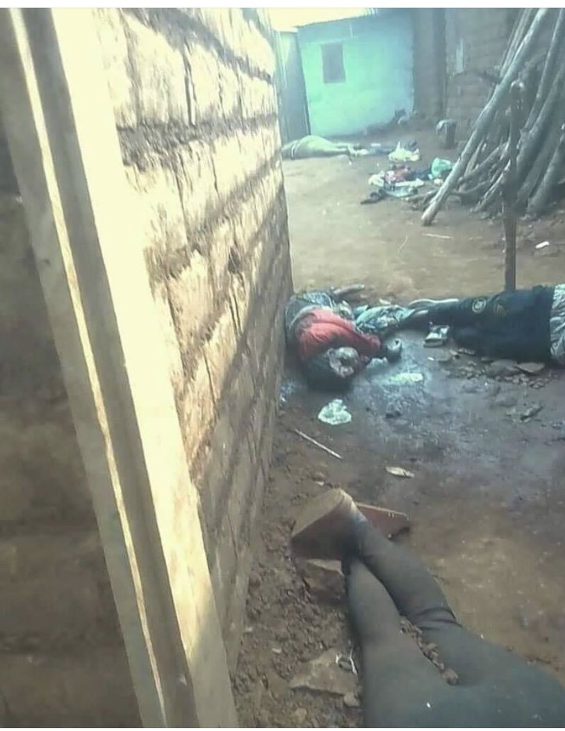 ROOSEVE38917115's tweet photo. 02/29/2020. Shocking pictures, Cameroon security forces randomly killing unarmed civilians including women and babies in English speaking region. Soldiers raided Babanki, a locality in NW Cameroon killing dozens. @CohenOnAfrica @AsstSecStateAF @hrw @realDonaldTrump @WhiteHouse https://t.co/DuHWDzXbCH