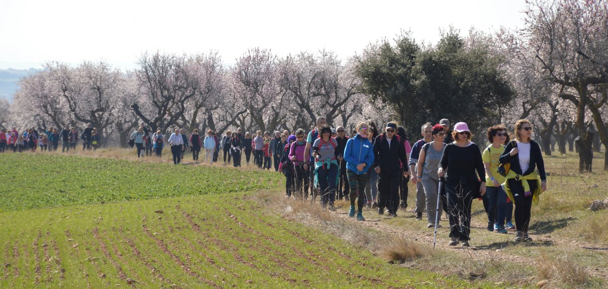 altoaragon's tweet photo. Ayerbe recibe a 1.500 caminantes para la ruta de los almendros en flor.
👉 https://t.co/m3LiQbYMrl
#LaHoya #AndadaPopular https://t.co/3Ly3ktKDPh