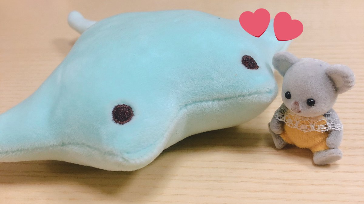 Twitter पर イガ栗 ダイソーのエイのぬいぐるみ Twitter पर イガ栗 ダイソーのエイのぬいぐるみ