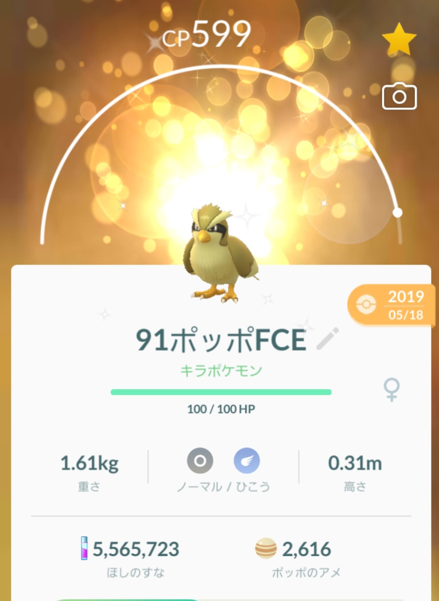 ぎゅみ ポッポ色違いが2匹目になっていたので キラ交換で頂いた最初の子を進化させました 色違いピジョットは キラキラの背景がピッタリで すごくキレイ ポケモンgo ピジョット色違い T Co 6sieu9xnvx Twitter