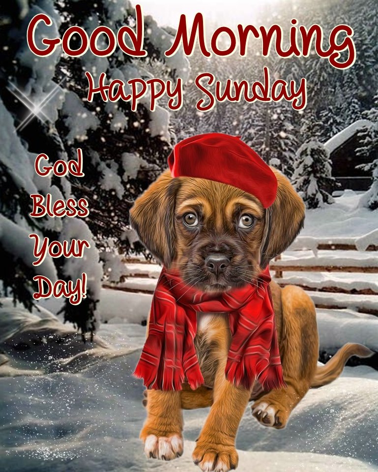 Good Morning Happy Sunday Dog Images canvasinsight