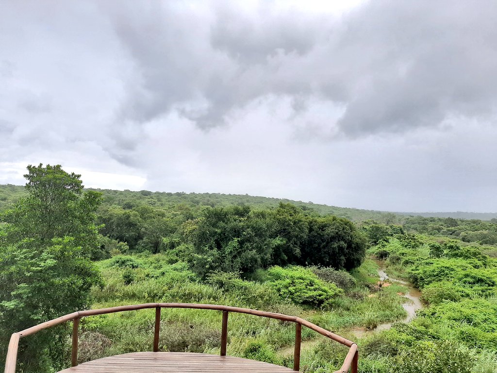 Hlengi's tweet photo. How amazing is this gem @amlodge_za ??!!
We saw it all in #Limpopo this week, the land of legend, a province rich inΒ wildlife, spectacular scenery & a wealth of historical & cultural treasures.
#WeDoTourismπΏπ¦ https://t.co/9pePkd6rjZ