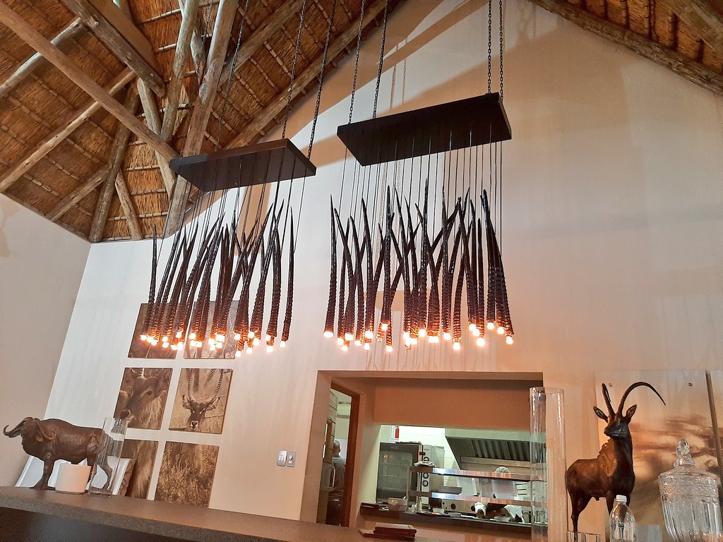 Hlengi's tweet photo. How amazing is this gem @amlodge_za ??!!
We saw it all in #Limpopo this week, the land of legend, a province rich inΒ wildlife, spectacular scenery & a wealth of historical & cultural treasures.
#WeDoTourismπΏπ¦ https://t.co/9pePkd6rjZ