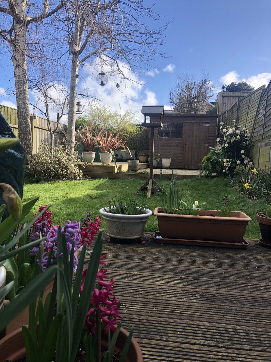 GeorgiaTurner's tweet photo. Garden tidying complete, including first mow of the year and summer bulb planting. #isitreallyspring? https://t.co/3nneghW82g