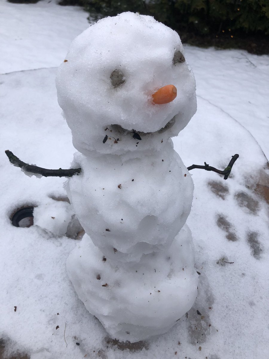 LauraVarja's tweet image. Day 4/7 of my life in pictures. Rules: no words, no people. Nominate someone new each day. I was nominated by @Katiihamaki ❤️ I will nominate 
@Okonomiyakiguy