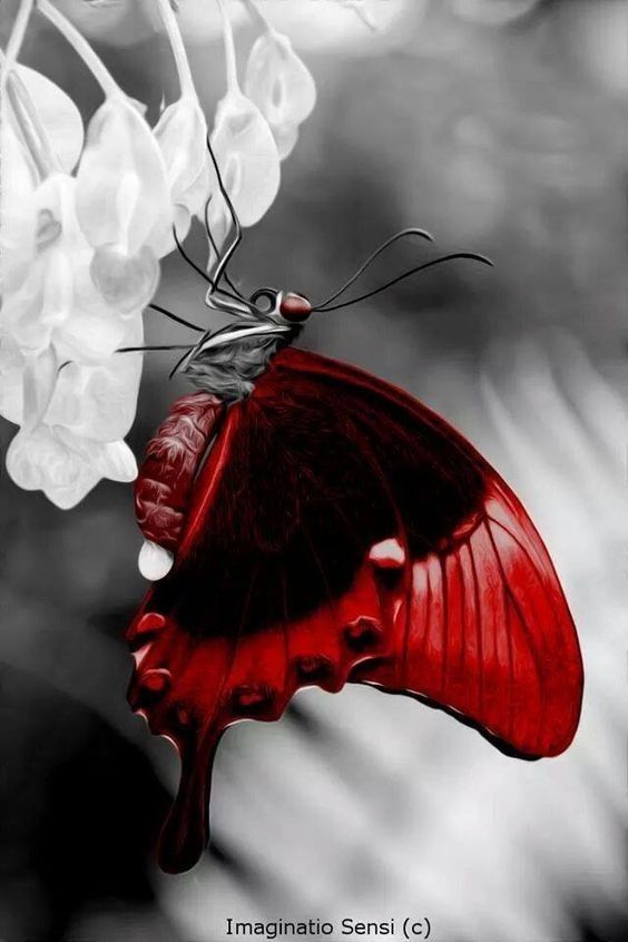 نأكل ثلاث وجبات "لنبقى" فلماذا 
لا نقرأ ثلاث صفحات "لنرقى
لا تتركْ حظّك من القرآن كل يوم 
ففيهِ البركة والتوفيق.
إن لم تكنْ ممّن: ﴿يتلونه حقَّ تلاوته﴾ 
فعلى الأقل: ﴿فاقرءوا ما تيسّر منه﴾ 
فإنْ فاتَ عليك هذا وذاك : 
﴿فاستمعوا له وأنصتوا
‌‌‌‌‌‌‌‌‌‌‌‌‌‌‌‌‌‌‌‌‌‌‌‌‌‌‌‌‌