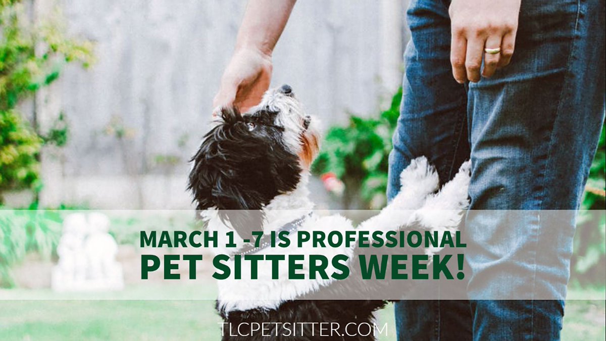 TLCpetsitter's tweet photo. March 1 - 7 is the 26th annual celebration of Professional Pet Sitters Week. We are so thankful for all of our dedicated Pet Sitters who care for the pets of our wonderful customers!
#gilbertaz #dogslife #dogsofgilbert #professionalpetsittersweek #azdogmom #petsitterlife https://t.co/59sR5EJWlP