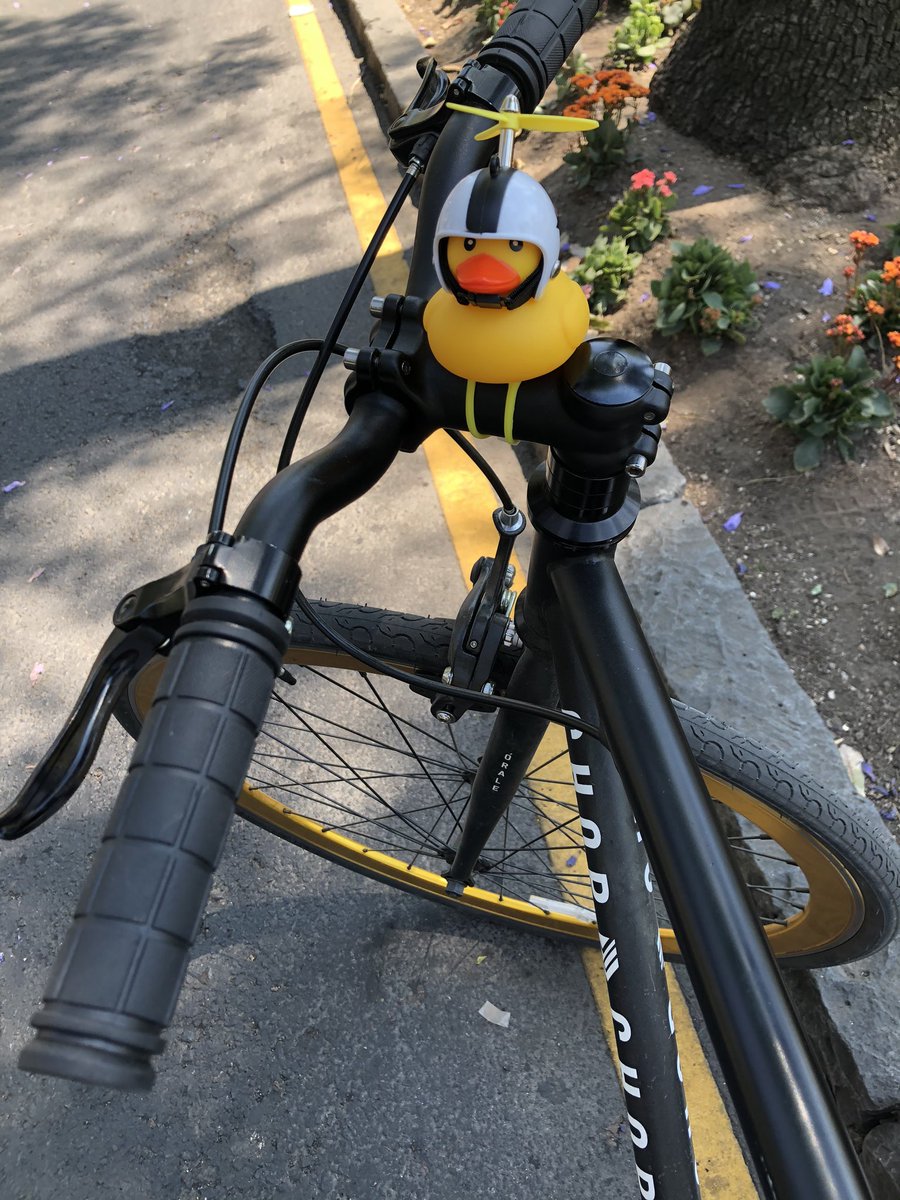 Duckiin's tweet photo. Les presento a mi nuevo compañerito de rodada 🚲 ❤️🐥 https://t.co/i0ACyucqFF