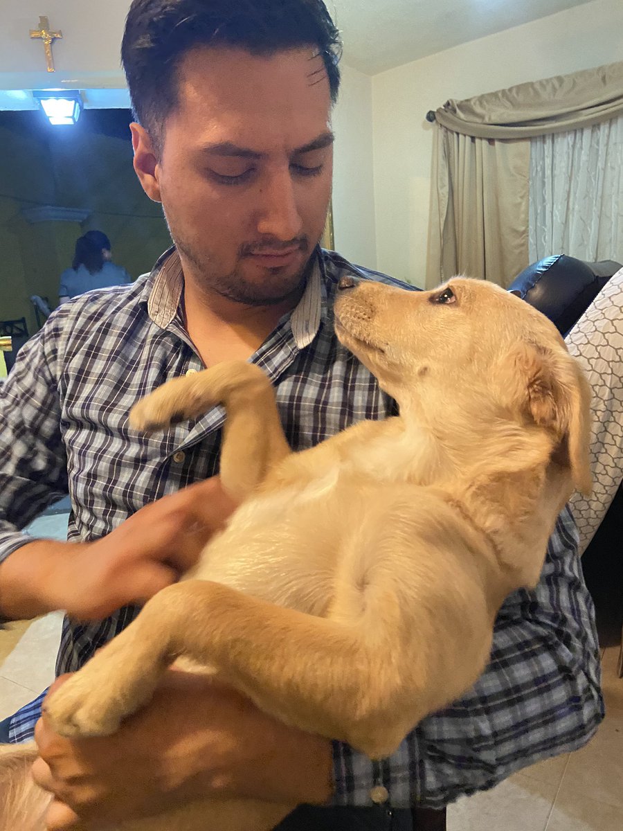 AnaLndvz's tweet photo. 😍🥰 https://t.co/zg4tPYczFF