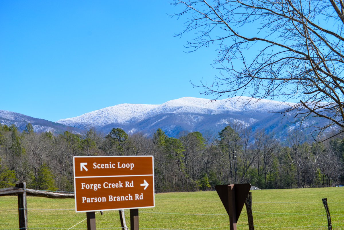 TravelGburg's tweet photo. Cades Cove Reopens Following Tunnel Work.  https://t.co/aW6D9e5qyK https://t.co/2otyMTE0IL
