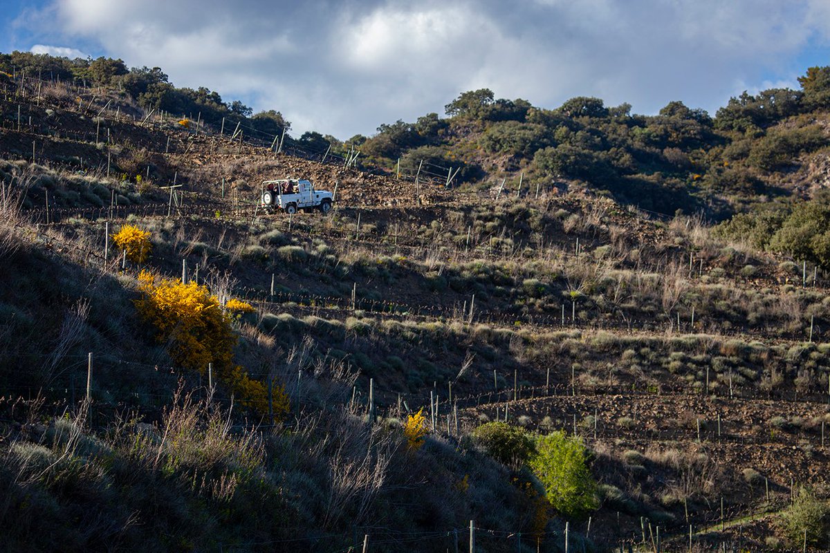 merumpriorati's tweet photo. Ready for a 4x4 ride in Merum Priorati? https://t.co/sBkUwitBr3