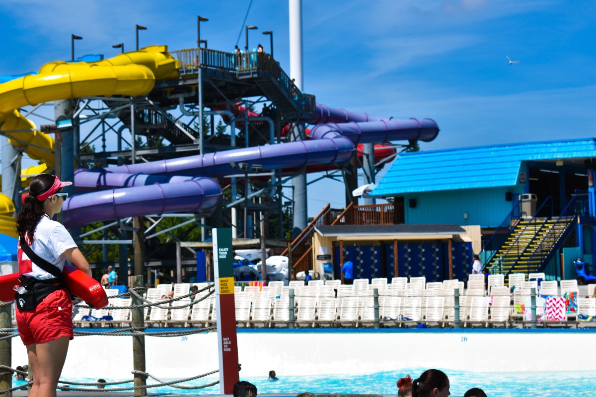 WildWavesPark's tweet photo. Need a summertime job? 🤔☀️ Join the FUN! 🤩 We are currently accepting applications for 2020 seasonal positions! 🎢🎡🌊 Apply NOW ➡️ https://t.co/nvSrp9RnDH #mywildwaves #makingwavesin2020 https://t.co/h1lEK9BHJN