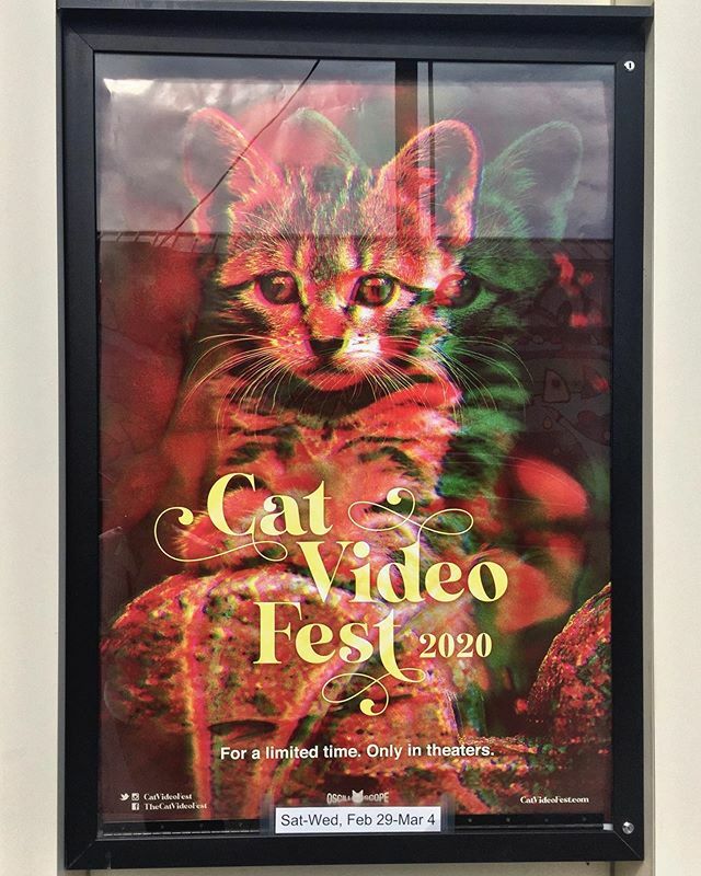 busyframes's tweet image. Never been in theater with more people wearing cat ears, cat tails and- feather ticklers for some reason?
w @kendrazkrantz ift.tt/3coUlxI