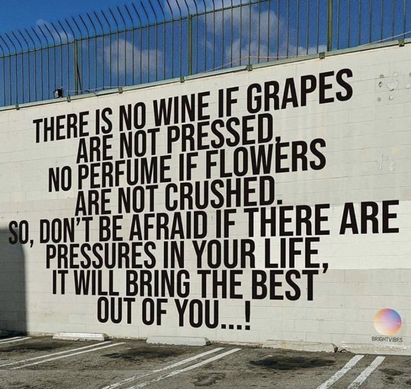 SS_Mind_SeeKING's tweet photo. Don’t be afraid if there are pressures in your life.. 💙💙
#SpiritualGoals #SunDayScribe https://t.co/DHAUOrLBBg