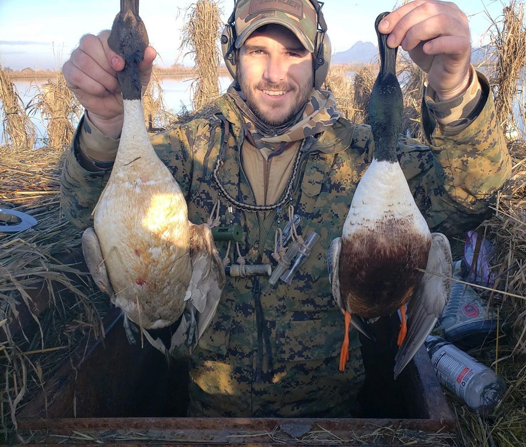 Cindergear's tweet photo. @fowled.finatics No spoonie shame here. https://t.co/kMNT9UjFOH