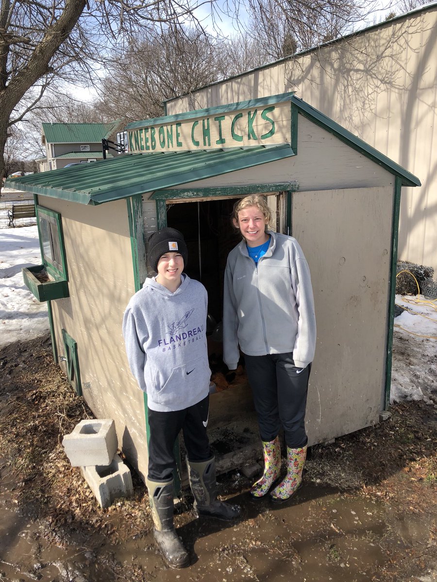 We are back in business!! Feels good to be a chicken farmer again. #kneebonechicks #2020spring