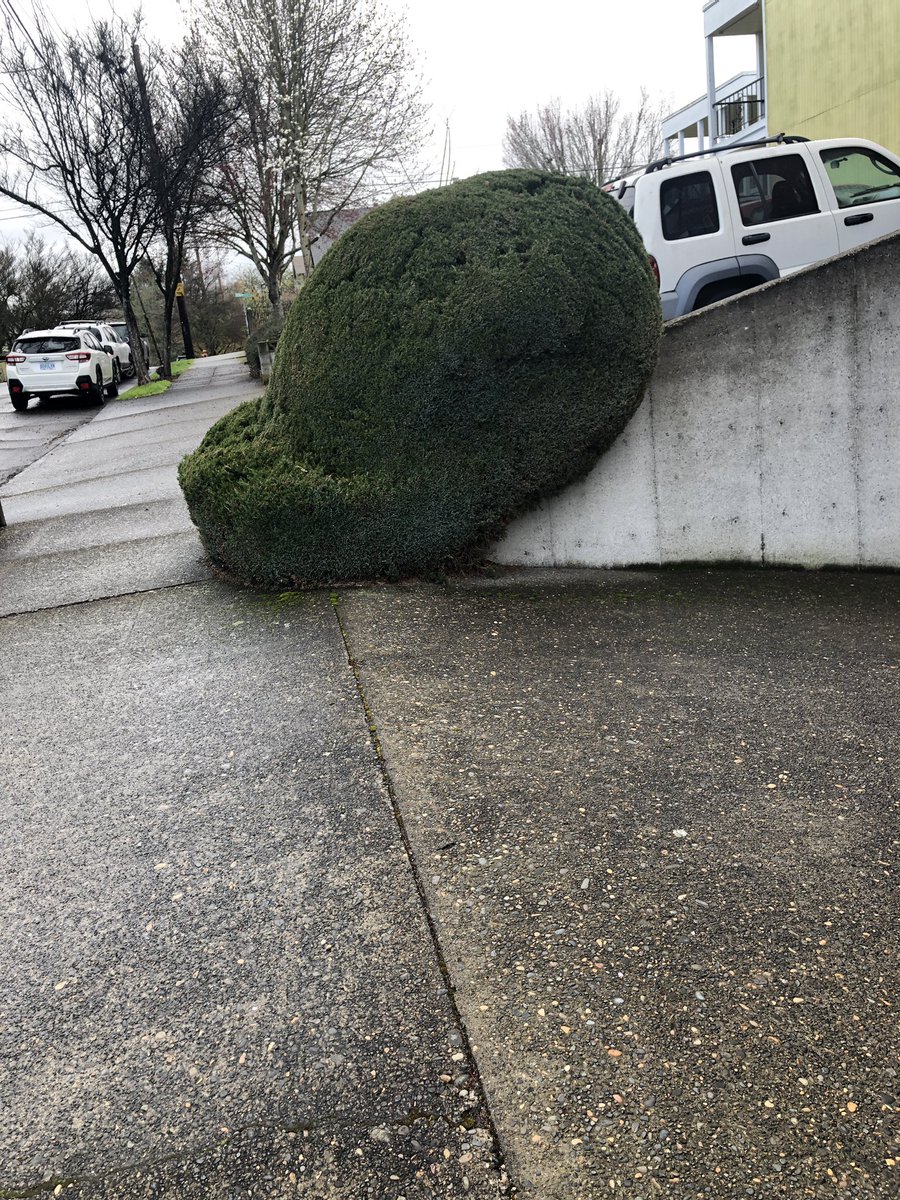 donwill's tweet photo. I think I found TI’s house. https://t.co/0aTQ80MKcD