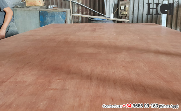 Vietnam packing plywood A/B grade, cheap price WhatsApp: +84 9656 09 153
#plywood #commercialplywood #packingplywood #vietnamplywood