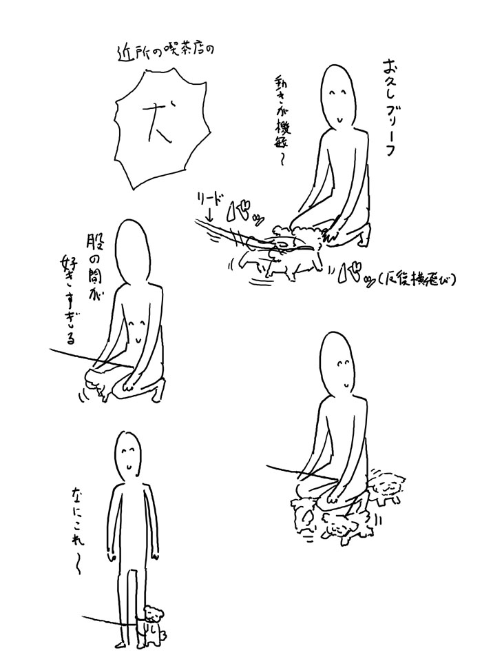 続々々・犬 