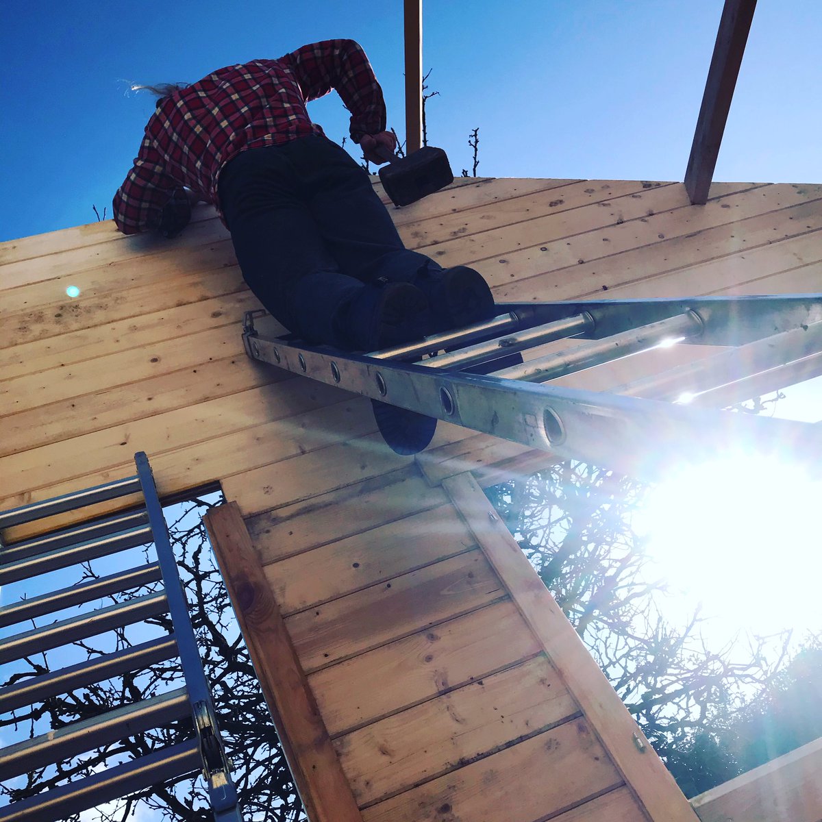 neither_both's tweet photo. Raise the roof
-
-
-
#tinyhouse #tinyhouseuk #tinyhouseresearch #ecohome #diy #academic #research #makesomething #buildsomething #york #tinyhome #cabin #timber https://t.co/h4opvm3LQ2