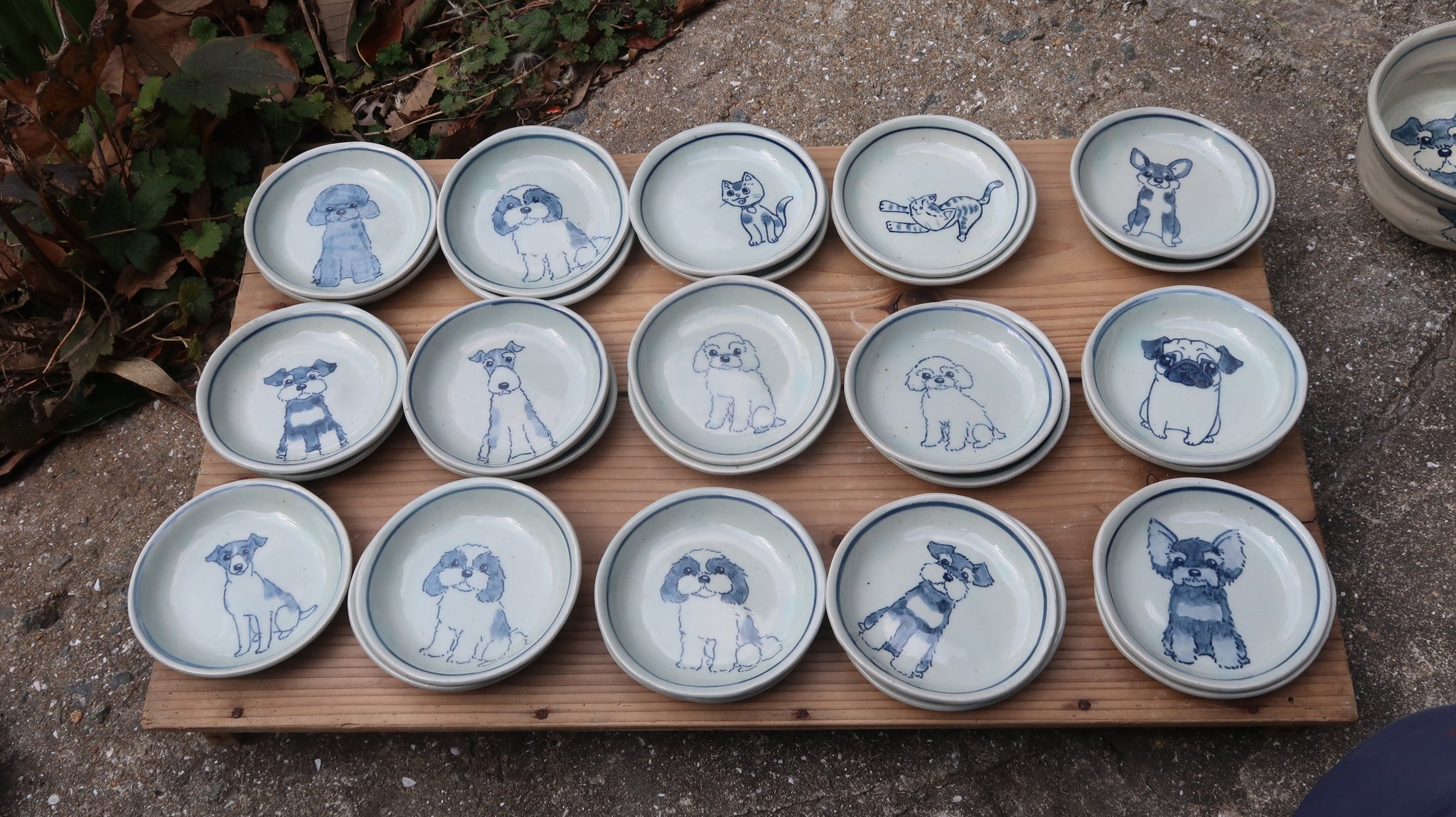 陶芸 明正窯 Meiseigama 豆皿いろいろ描いた 犬は種類多いから名前忘れてしまう ワイアーフォックステリア シーズー トイプードル ジャックラッセルテリア ビションフリーゼ シュナウザー パグ マルチーズ 犬の器 犬 陶芸