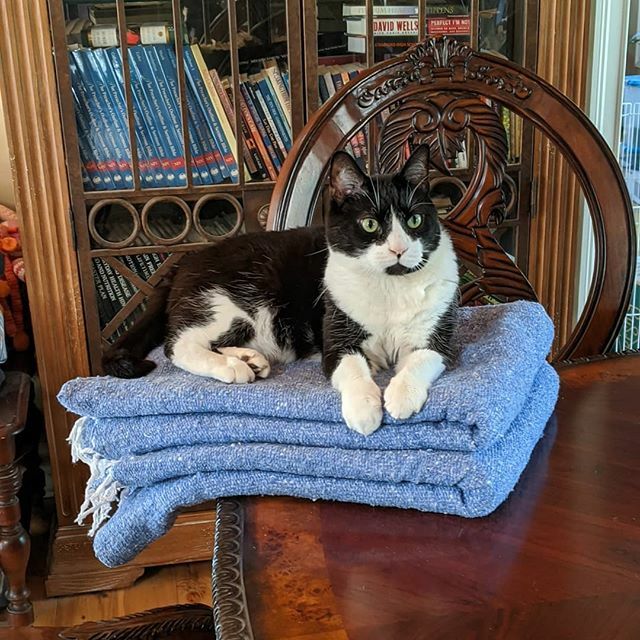 Sandy Hogan tweet media