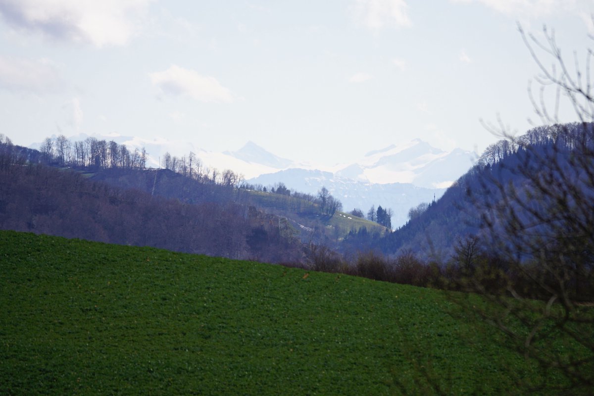 kindlimann's tweet photo. #Sissach - #Buckten via Himmelrain, Blitenchopf, Oberg, Schönegg, Büechli, Wälschacher, Sonnenberg und #Känerkinden https://t.co/gLJwUCgwbT https://t.co/R0WCKX4LyC