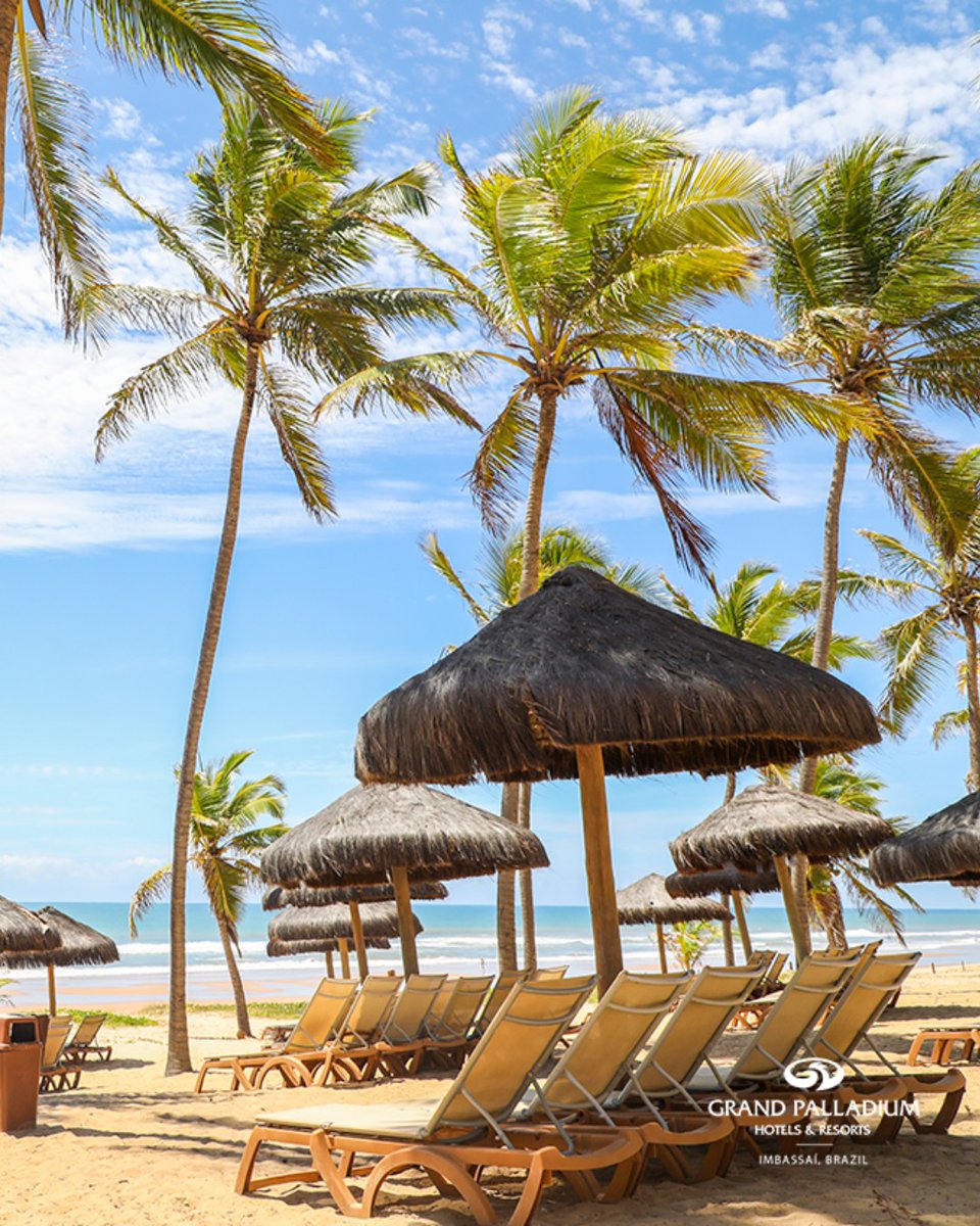 PalladiumBrasil's tweet photo. Começar o mês na praia de Imbassaí! Que dia você chega por aqui? #Férias #GrandPalladiumImbassaí #Vacaciones #Bahia https://t.co/tAUFYiYKX9