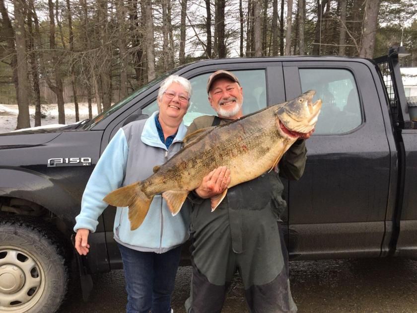 laconiadailysun's tweet photo. Lake monster: Center Harbor man hooks 37.65-lb. trout https://t.co/45IdgGAMso https://t.co/aztA2wT4GZ